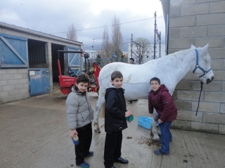 le poney club