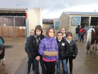 le poney club