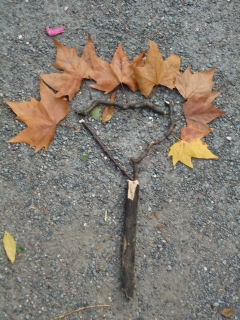 arbre