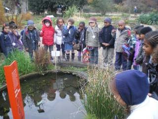 jardin des plantes