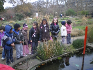 jardin des plantes