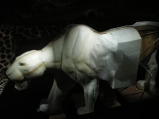 jardin des plantes