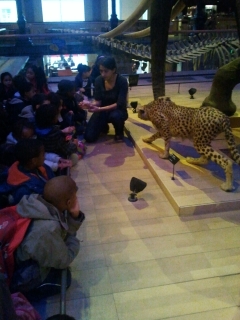 jardin des plantes