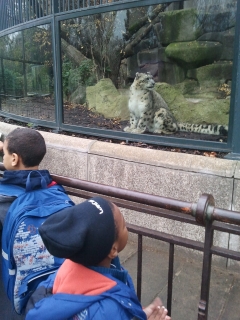 jardin des plantes