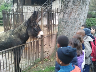 jardin des plantes