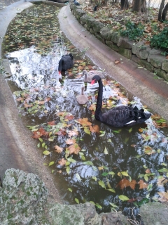 jardin des plantes