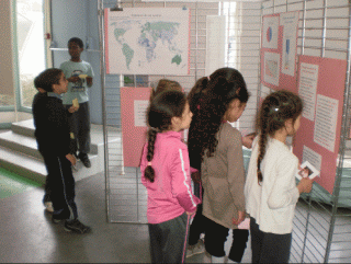 expo